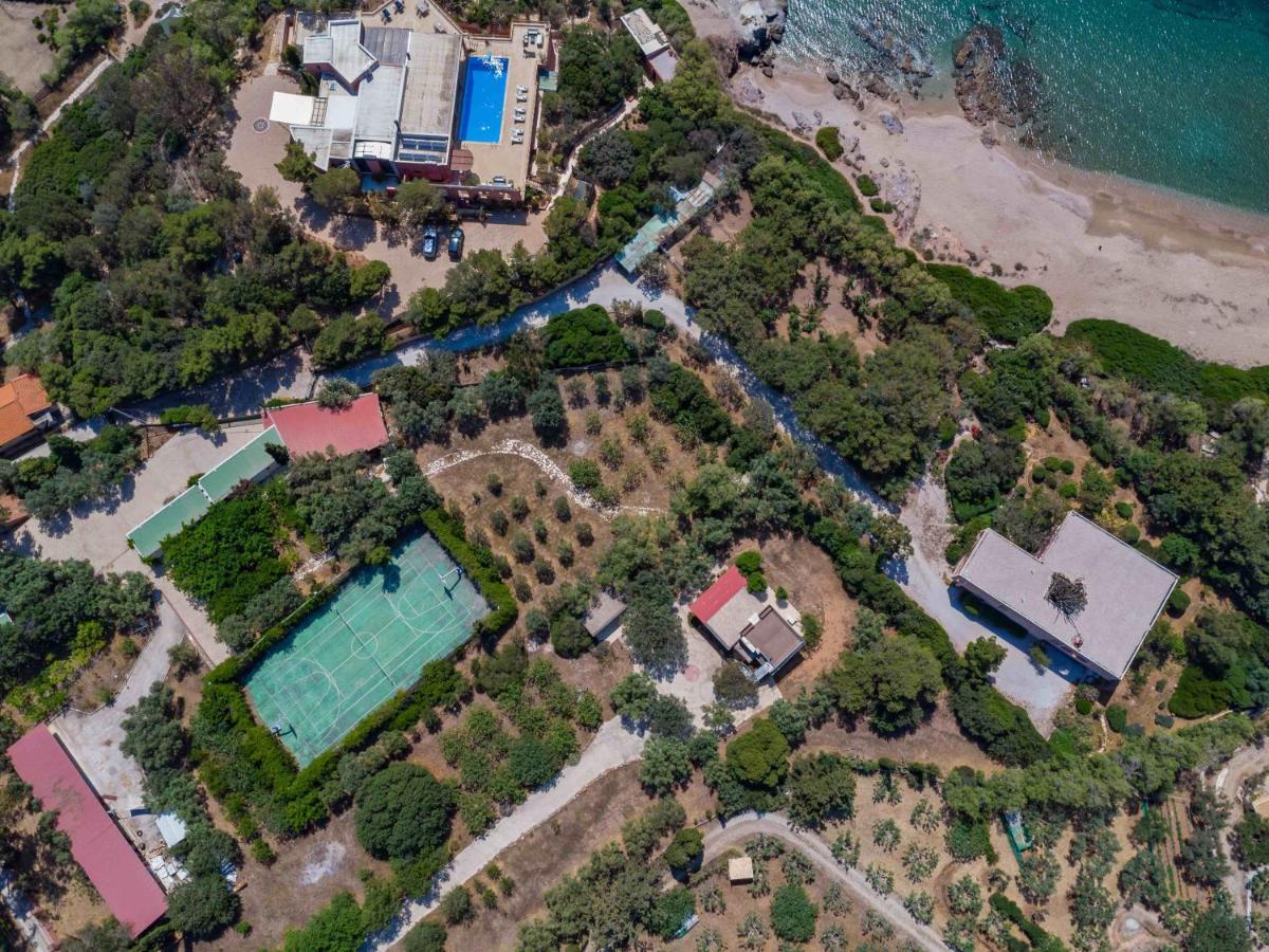Black Diamond Beachfront Pool Villa Pasithea In Sounio, Athens Sounion Eksteriør billede