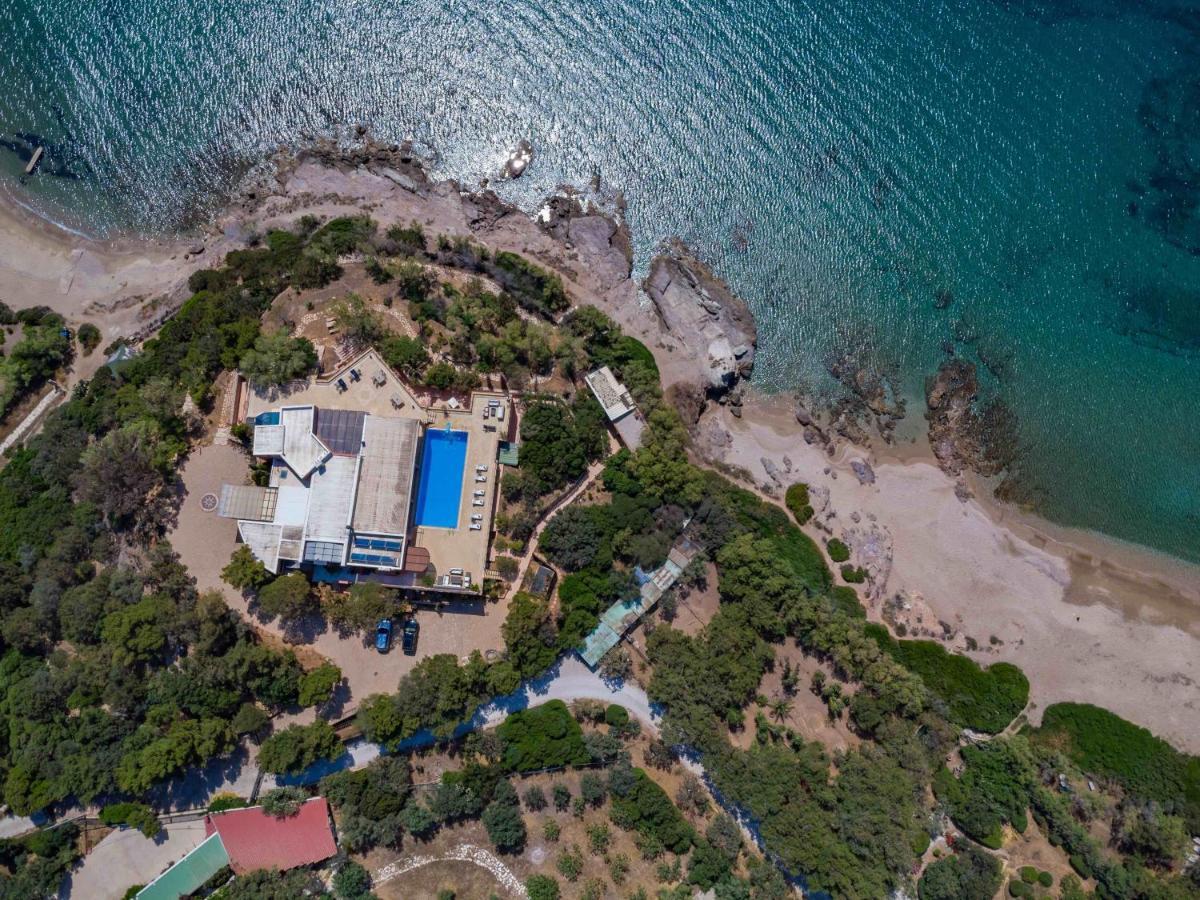 Black Diamond Beachfront Pool Villa Pasithea In Sounio, Athens Sounion Eksteriør billede
