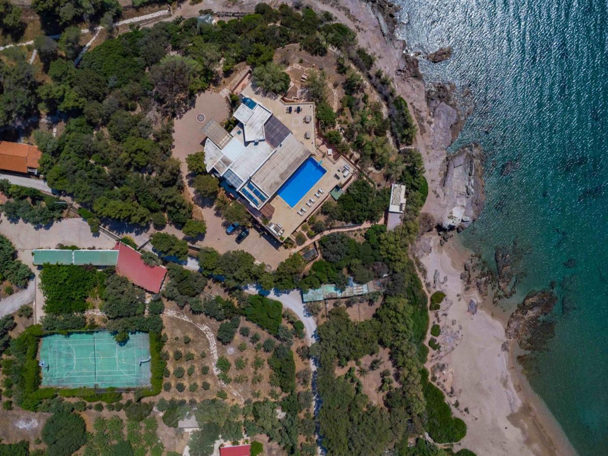 Black Diamond Beachfront Pool Villa Pasithea In Sounio, Athens Sounion Eksteriør billede